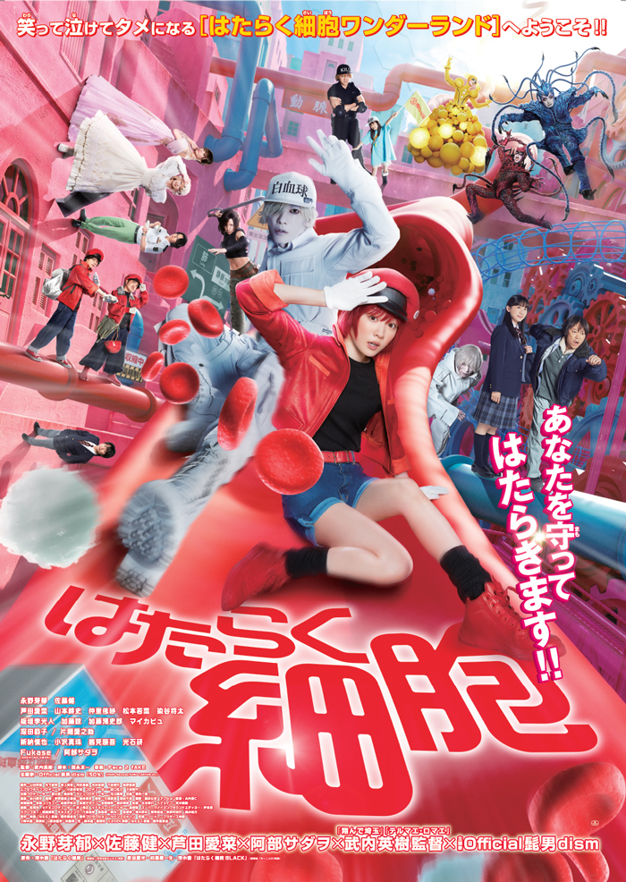 Cells at Work!